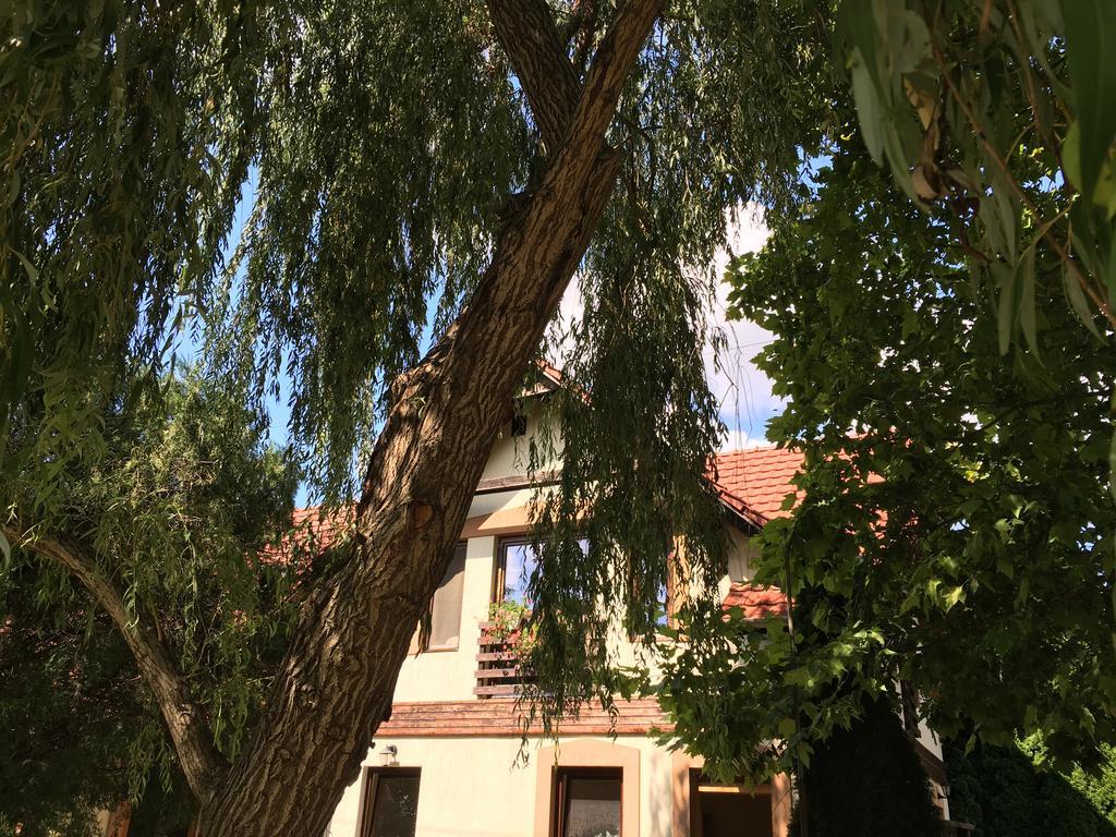 Vargapartman Szeged Exterior foto